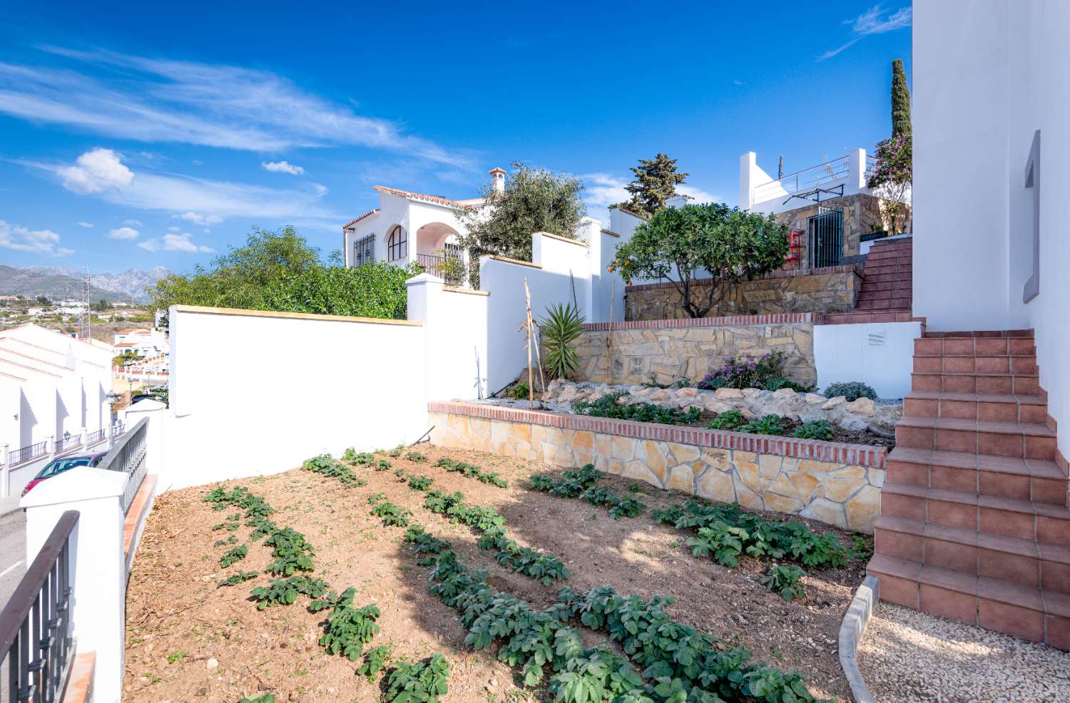 Detached villa with private pool for sale in Nerja