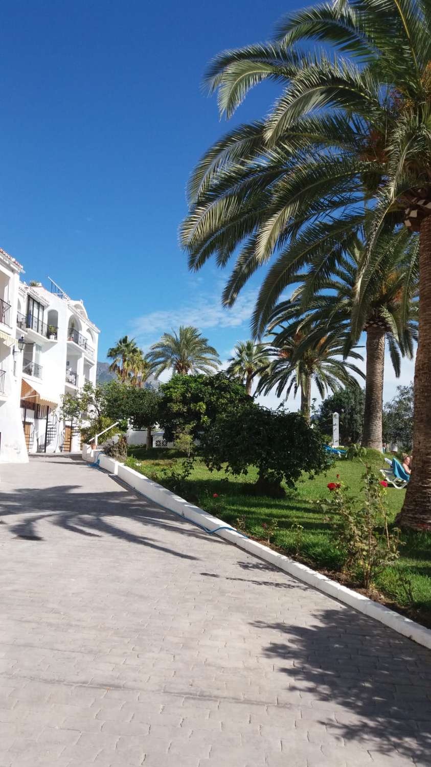 Neu auf dem Markt ist eine Wohnung in erster Meereslinie im Edificio Tuhillo im Parador-Viertel von Nerja