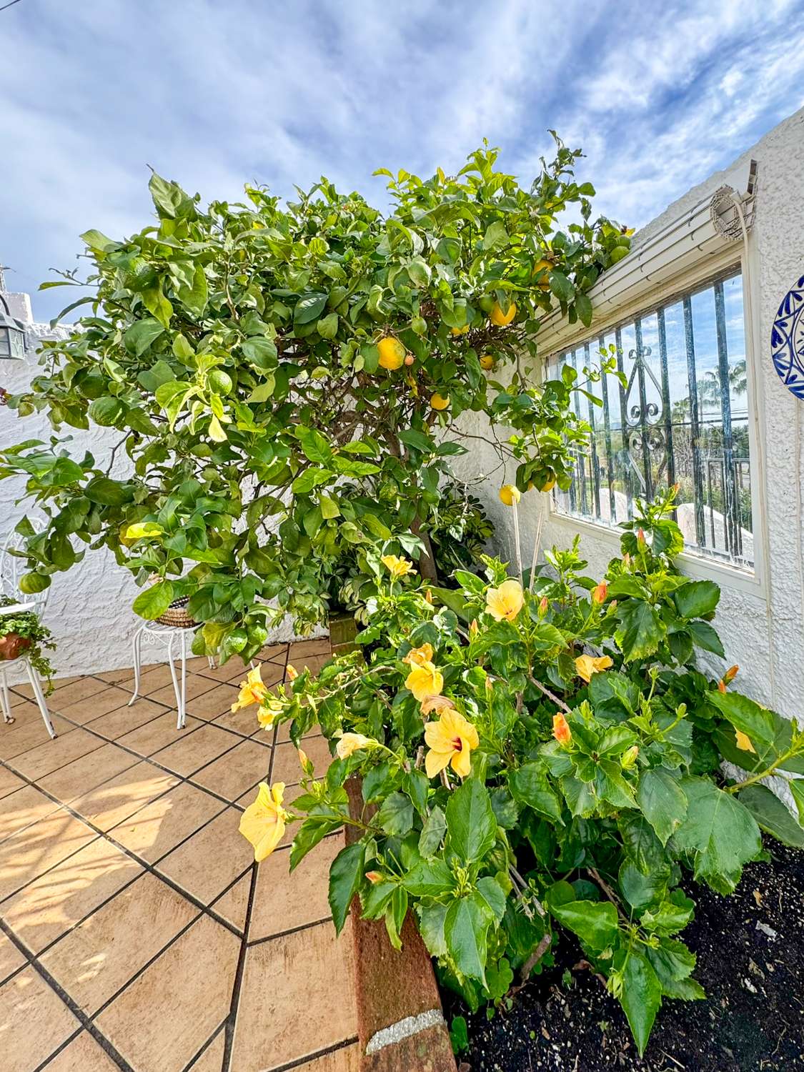 Propiedad en venta en Capistrano Village, Nerja