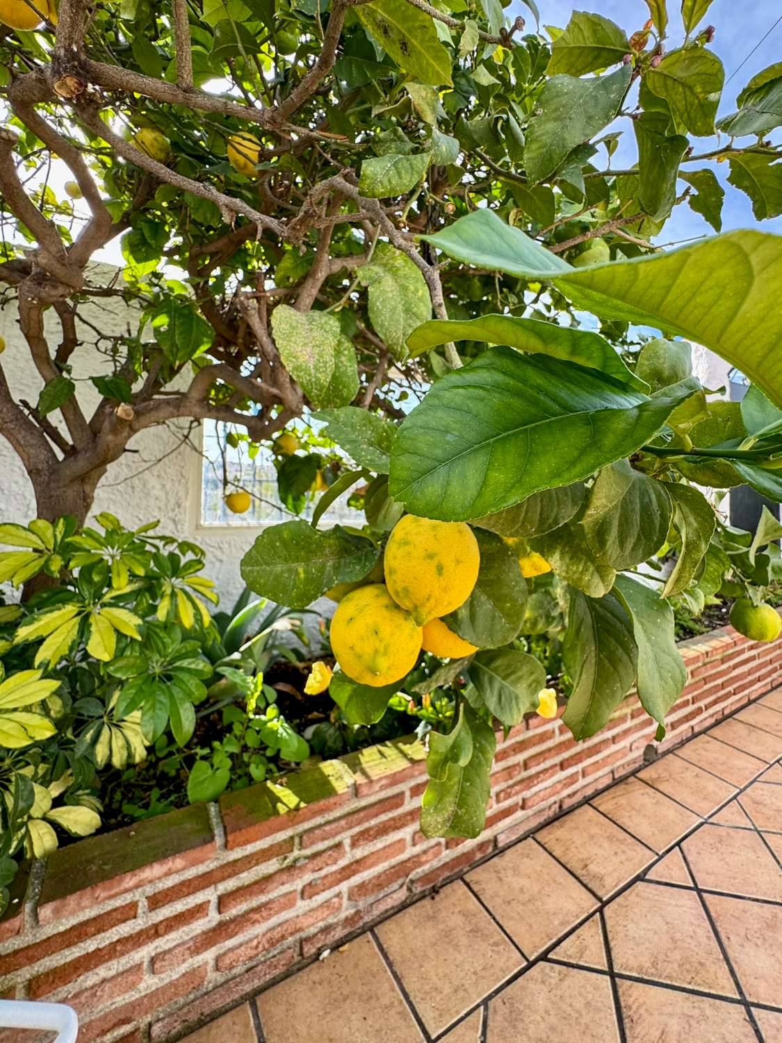 Propiedad en venta en Capistrano Village, Nerja