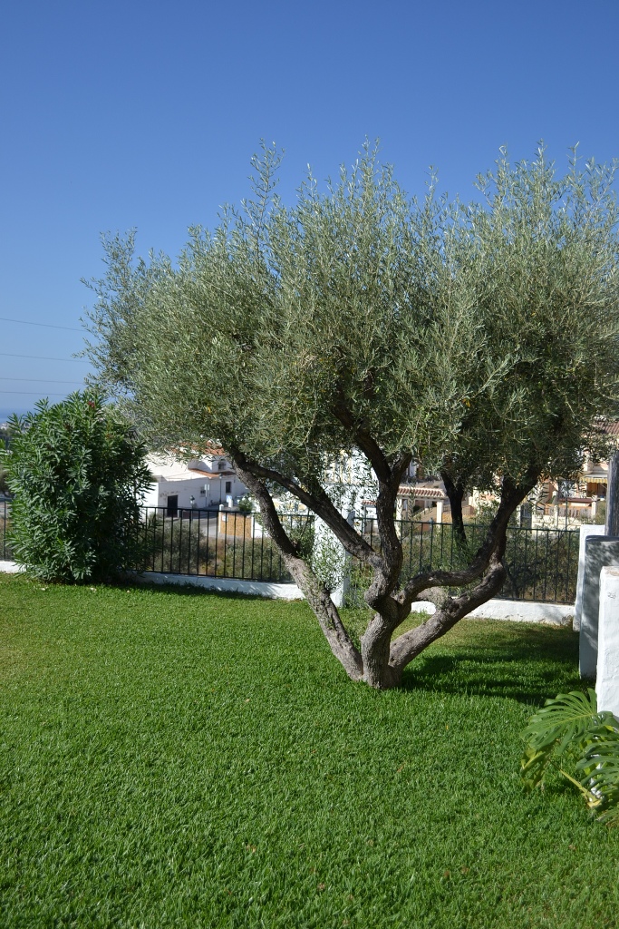 Detached house for sale in Nerja, La Noria.