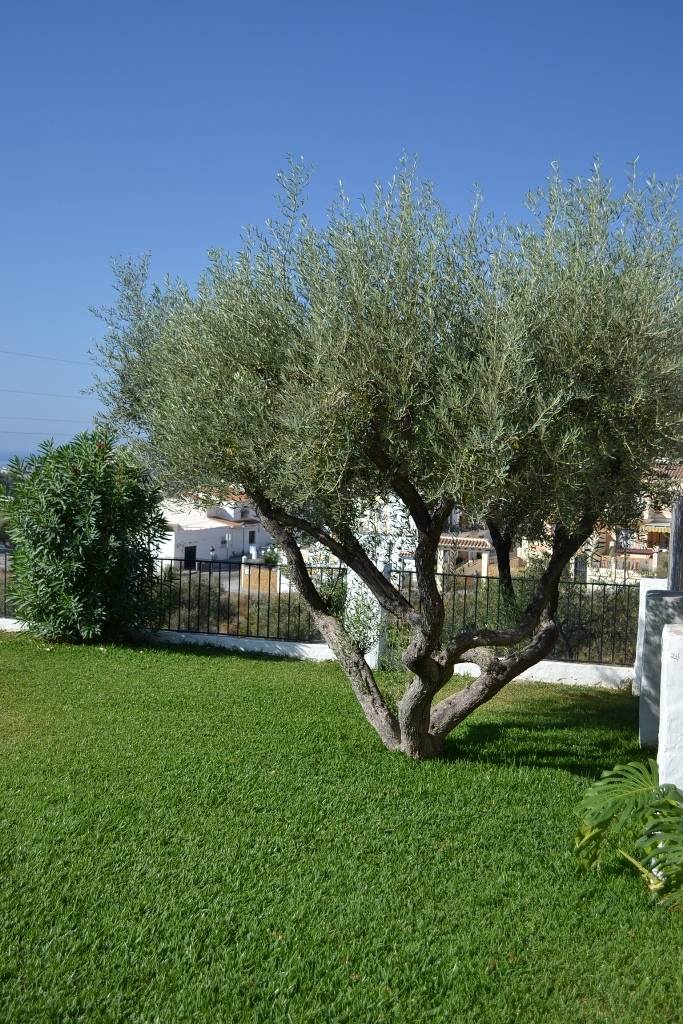 Appartement te koop met prachtig uitzicht op zee, gelegen in La Noria, Nerja.