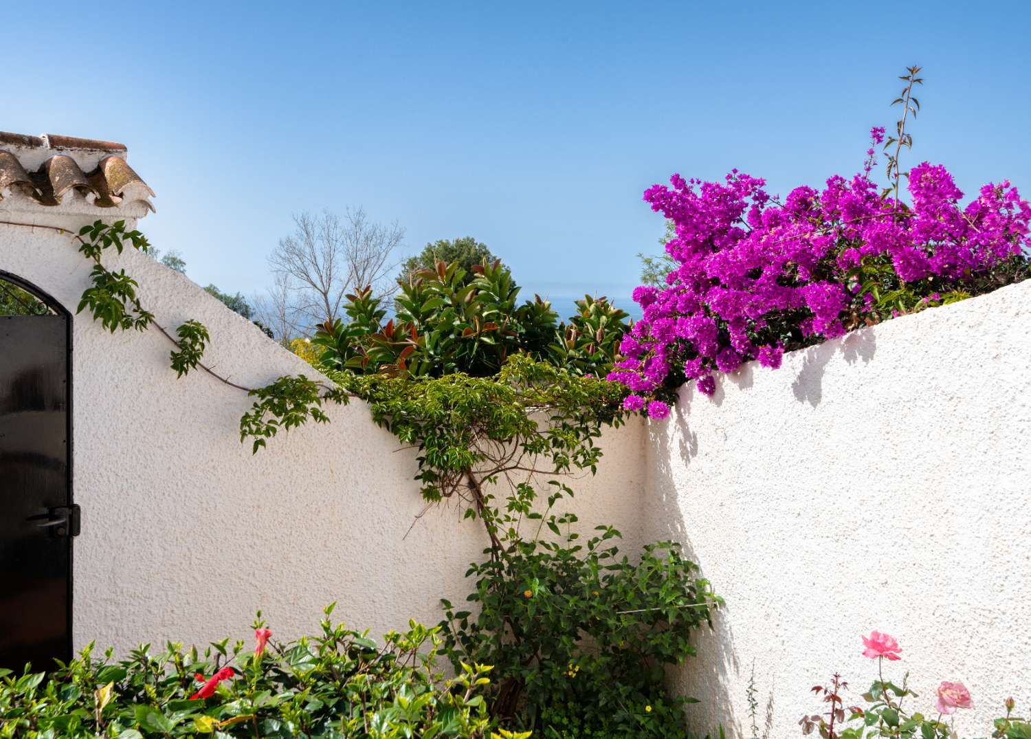 Charmig trädgårdslägenhet med ett sovrum i San Juan de Capistrano
